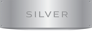 Silver Level Partner Logo